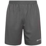 Мужские тренировочные шорты SPORTINATOR Essentials серые - фото 3