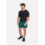 Футболка Gold'S Gym, черный - фото 4