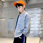 Детский свитшот с круглым вырезом Moderate EASTERN CAMEL, серый - фото 6