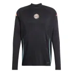 Футболка для тренировок FC Bayern Tiro 24 Pro мужская Adidas, черный - фото 2