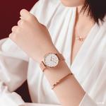DW/DanielWellington Часы Daniel Wellington Classic Petite Bondi 28mm - фото 9