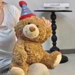 Плюшевая кукла Birthday Hat Bear высотой 35 см Nodding Bud Bug - фото 8
