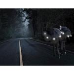 Зонт Euroschirm, цвет Schwarz-Reflective - фото 7