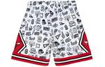 Шорты Mitchell & Ness X NBA Chicago Bulls 1997 Doodle Swingman Mitchell Ness, белый - фото