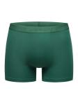 Erlich Textil Боксеры 'LIGHT TOUCH' в темно-зеленом цвете - фото