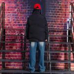 Пуховик Unisex BOBBY ABLEY, серый (в комплекте с толстовкой или худи) - фото 5