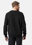 Helly-Hansen 34000 Мужской свитер с логотипом Hh Helly Hansen, 990 Black - фото 4
