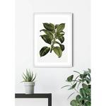 Фреска Komar Elastica Tree, разноцветный - фото 3