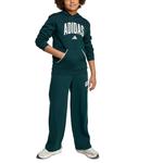 Свитшот ESSENTIALS детский Adidas, зеленый - фото 5