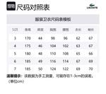 Jacquarded Sweatshirt LACOSTE, серо-голубой - фото 2