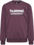 Толстовка Hummel TUKAS, цвет Aubergine - фото