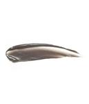Гель для бровей 3INA The Eyebrow Mascara, Nr. 972  - Gray, 4 ml - фото 3