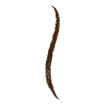 Подводка для глаз Perfect Blend CoverGirl, Black Brown - фото 2