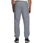 Брюки Evolution с вышивкой The North Face, серый - фото 2