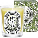 Свечи и восковые пластины Diptyque - фото 2