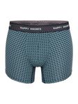 Боксеры Happy Shorts Retro Pants Trunks, цвет Dusty Mint Triangles - фото 2