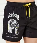 Пляжные шорты Regular fit Iceberg, черный - фото 3