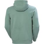 Толстовка Helly Hansen Logo Pullover Helly Hansen, Cactus - фото 4