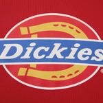 Унисекс худи Dickies, мятно-голубой - фото 7