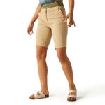 Спортивные шорты Regatta Bayletta, бежевый - фото