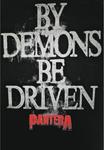 Футболка rockshirts PANTERA BY DEMON BE DRIVEN , Black - фото 4