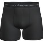 Мужские боксеры Anatomica Icebreaker, черный - фото