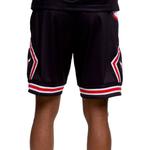 Шорты Mitchell & Ness Chicago Bulls Big Face Mitchell Ness - фото 5
