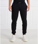 Спортивные брюки Ea7 с логотипом бренда, черный - фото