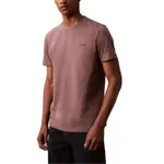 Футболка мужская plum truffle Calvin Klein, Plum Truffle - фото 3