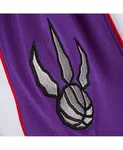 Мужские шорты Toronto Raptors Authentic белого цвета Mitchell & Ness - фото 4
