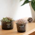 Ароматическая свеча MUJI, basil scent - фото 4