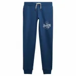 Джоггеры Superdry Premium Script Entry, синий - фото