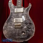 PRS Core DGT Charcoal с рисунком птиц с жестким чехлом - фото 8