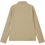 Стеганая куртка мужская Spyder, черный - фото 4