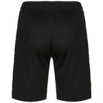 Шорты NIKE Regular Workout Pants Park 20, черный - фото 2