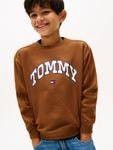 Свитер TOMMY HILFIGER Varsity, коричневый - фото 4