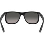 Солнцезащитные очки Justin Ray-Ban, мультиколор - фото 4