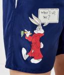 Шорты для плавания Ice iceberg x warner Iceberg, синий - фото 3