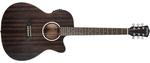 Акустическая гитара Washburn DFEACE-U Deep Forest Ebony ACE Acoustic-Electric Guitar, Natural Matte - фото