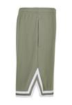 Шорты Karl Kani Shorts, Green - фото 9