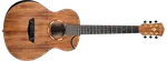 Акустическая гитара Washburn G-Mini 55 KOA - фото
