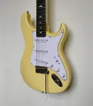 PRS SE Silver Sky - 2022 - настоящее время - Moon White - Серый чехол PRS - фото 10