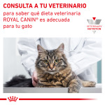 Корм для кошек Royal Canin Dental 3 кг - фото 10