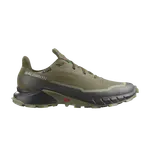 Кроссовки Alphacross 5 GORE-TEX Salomon, зеленый - фото