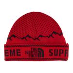The North Fold Beanie Supreme, красный - фото
