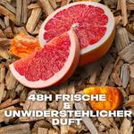 Деоспрей Аляска 150мл AXE - фото 6