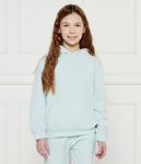 Толстовка Guess Regular Fit, зеленый - фото