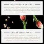 Neopur Шампунь против жирной перхоти 150 мл, Rene Furterer - фото 3