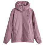 Толстовка с капюшоном Atom Arc'Teryx, Interstellar - фото