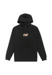 Худи DC Shoes Hoodie, Black - фото 6